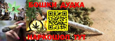 индика Будённовск