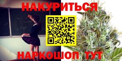 индика Будённовск