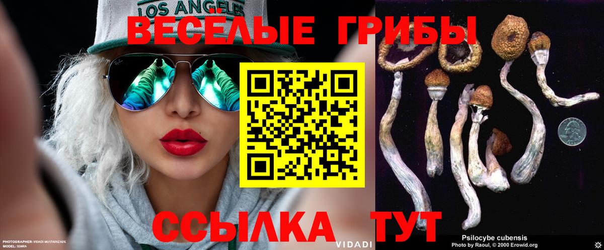 Лиски  Псилоцибиновые грибы мицелий  Вход с VPN 